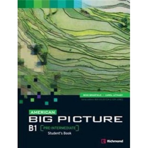 AMERICAN BIG PICTURE B1 STUDENT´S BOOK